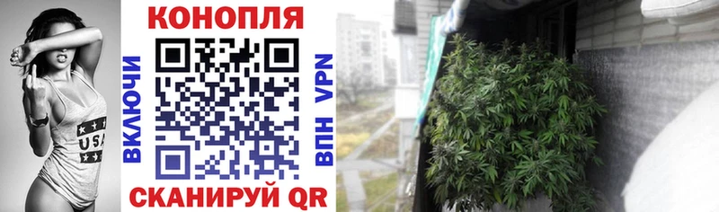 Шишки марихуана Amnesia Славгород